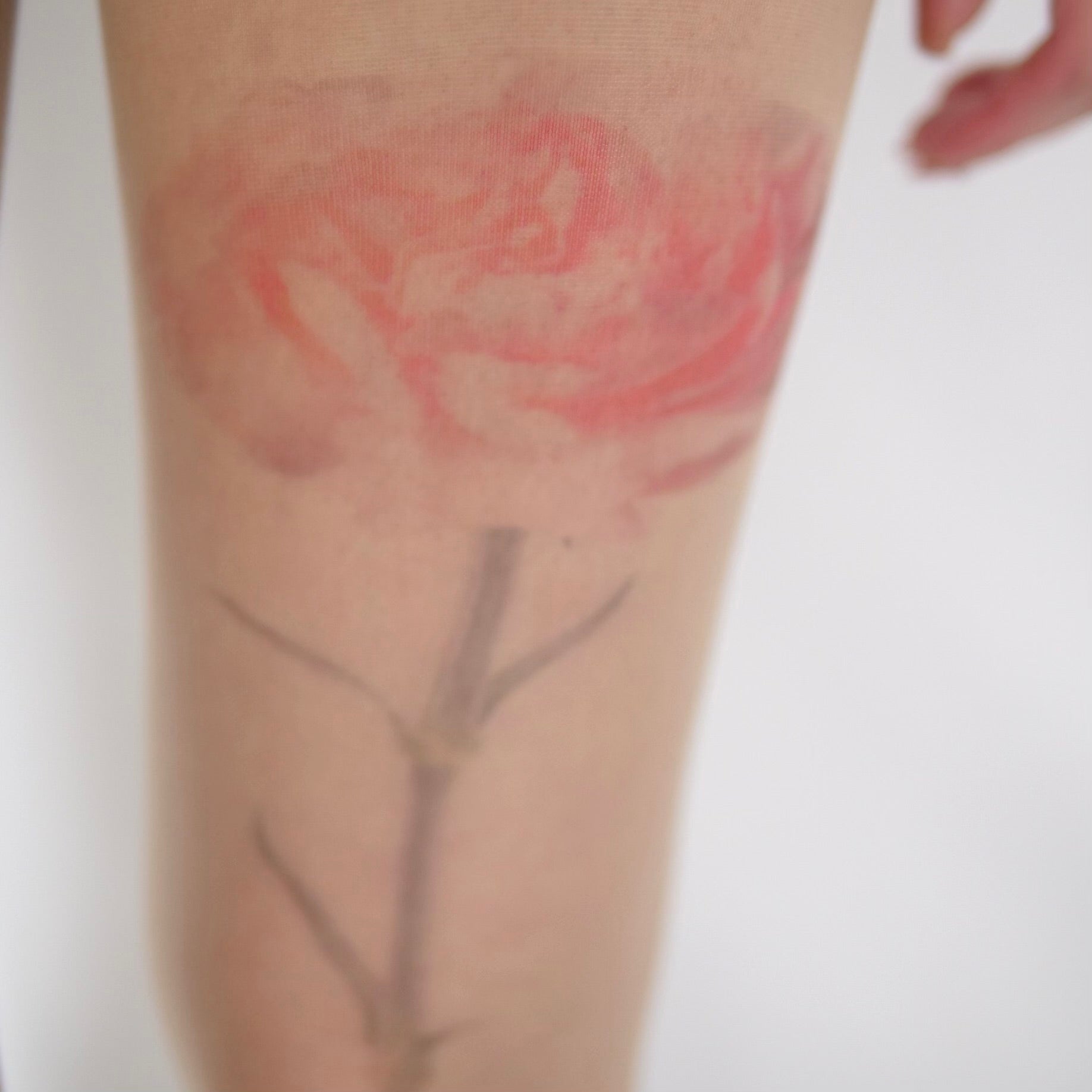 SIMONE ROCHA　 カーネーションプリント シアータイツ